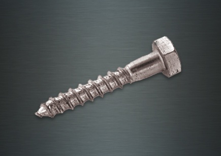 Coach Screw