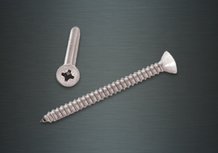 Self Tapping Countersunk Screw