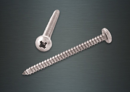 Self Tapping Pan Head Screw