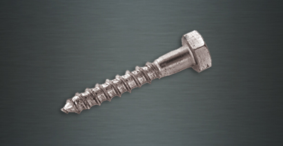 Coach Screw