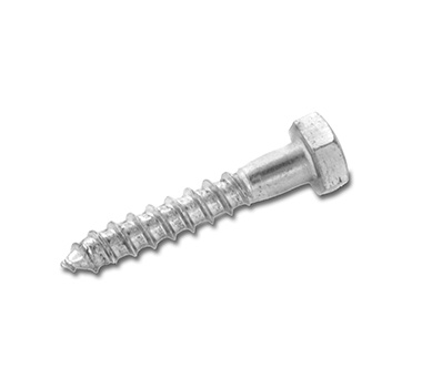 Coach Screw - Side