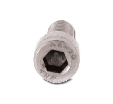 Socket Cap Screw - End